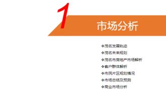 免费资料 2018广东华讯伟业茂名项目前期产品定位及发展策略报告